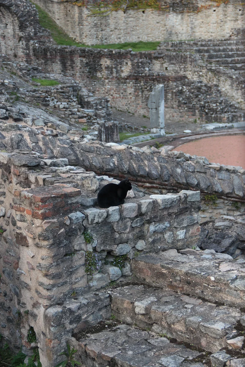 El gato negro — Amphithéâtres romains de Lyon (France)