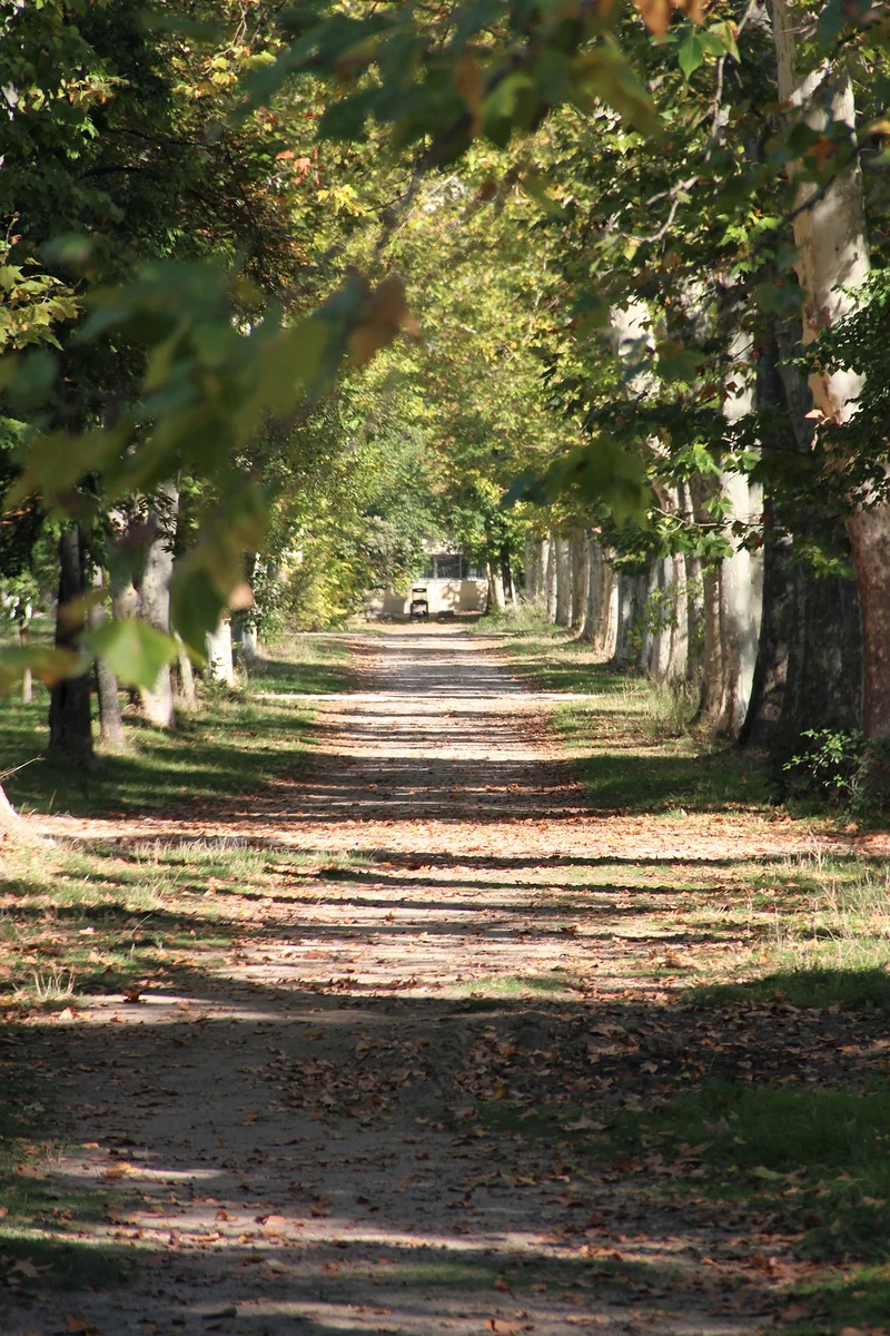 Casa de Campo — Casa de Campo (Espagne)