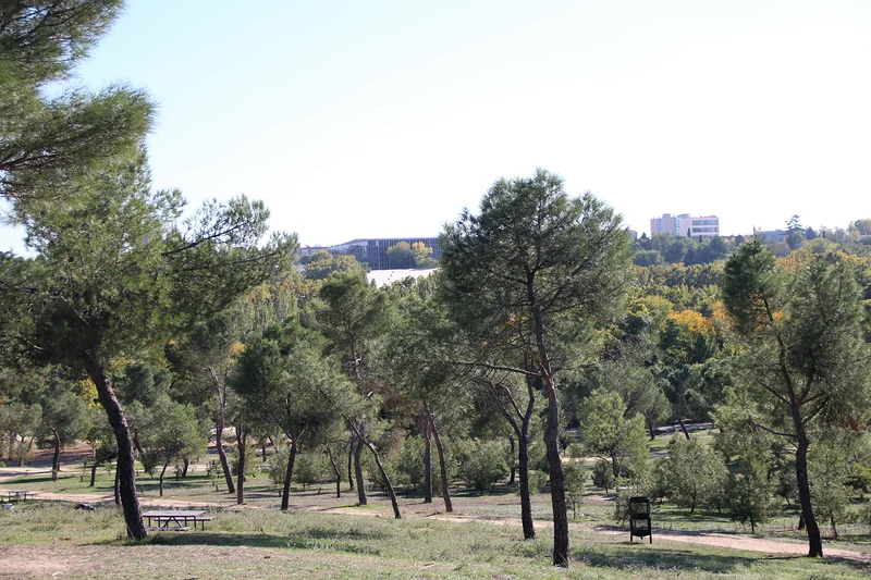 Casa de Campo — Casa de Campo (Espagne)