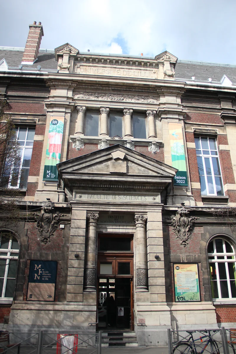 Musée d'histoire naturelle de Lille — Musée d'histoire naturelle de Lille (France)