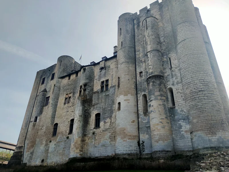 Château de Niort — Château de Niort (France)