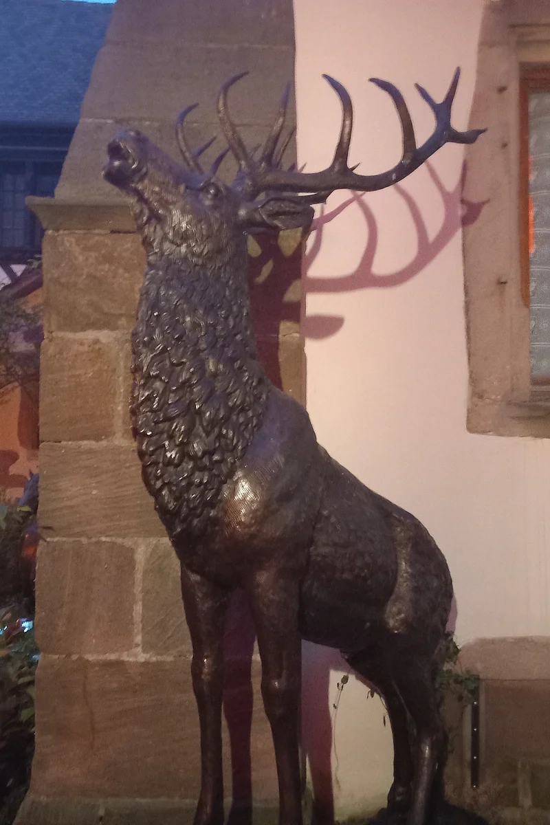 Cerf de Riquewihr — Riquewihr (France)