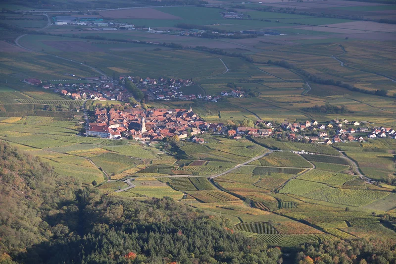 Vue sur villages et vignes — Château du Haut-Kœnigsbourg (France)