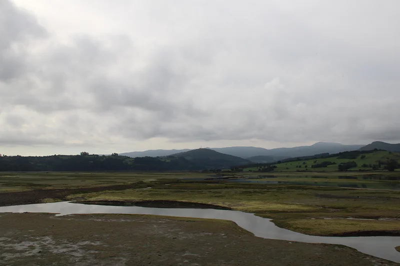 Marécages Cantabriques — San Vicente de la Barquera (Espagne)