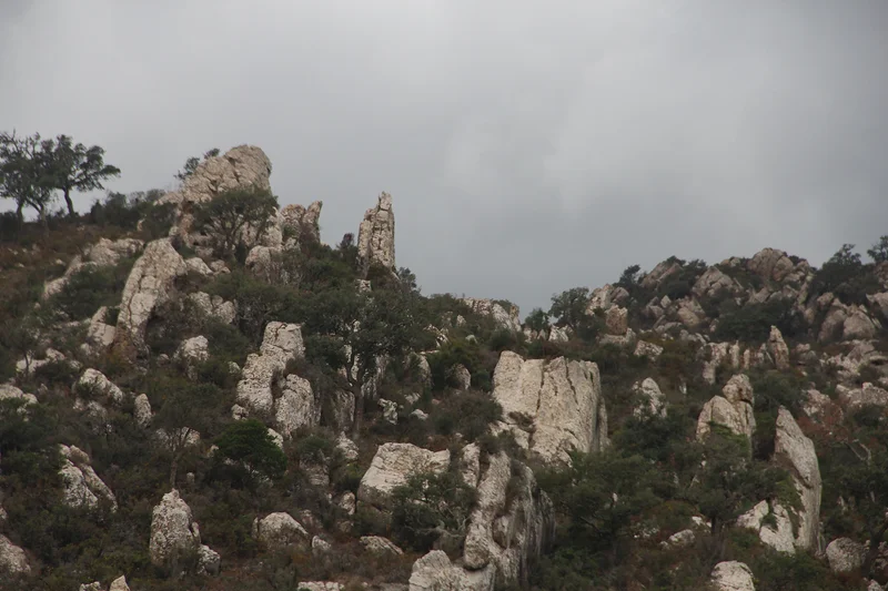 Parque Natural Los Alcornocales — Los Barrios (Espagne)