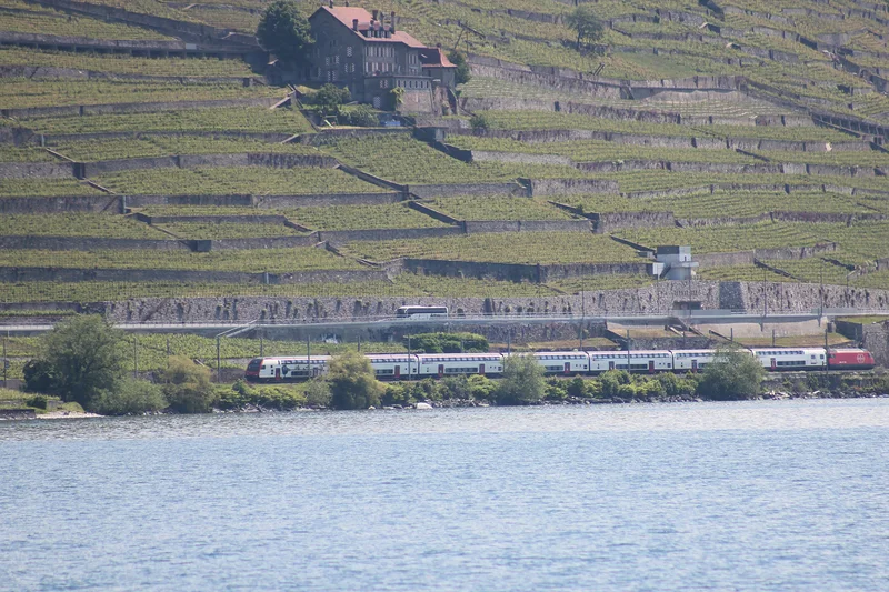 Terrasses viticoles de Lavaux — Vignes de Lavaux (Suisse)