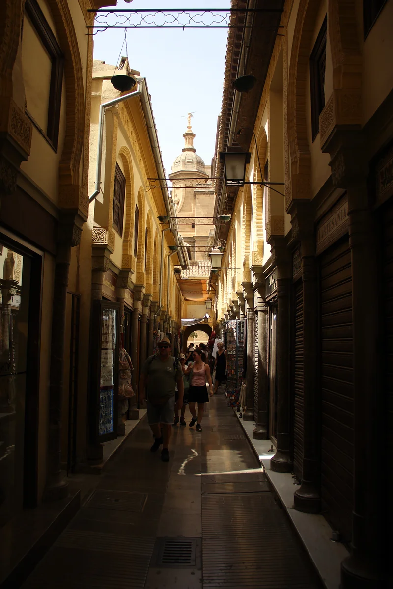 Calle de Granada — Cathédrale de Grenade (Espagne)