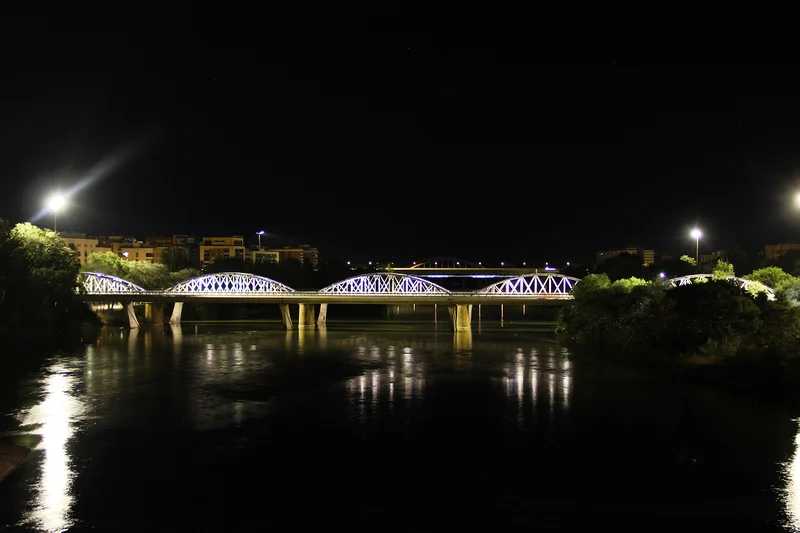 Puente de Hierro — Saragosse (Espagne)