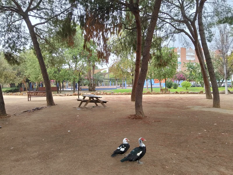 Jardín de la Seda — Murcie (Espagne)