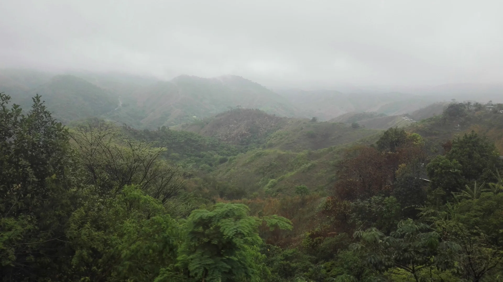 Selva de Paracambi — Paracambi (Brésil)