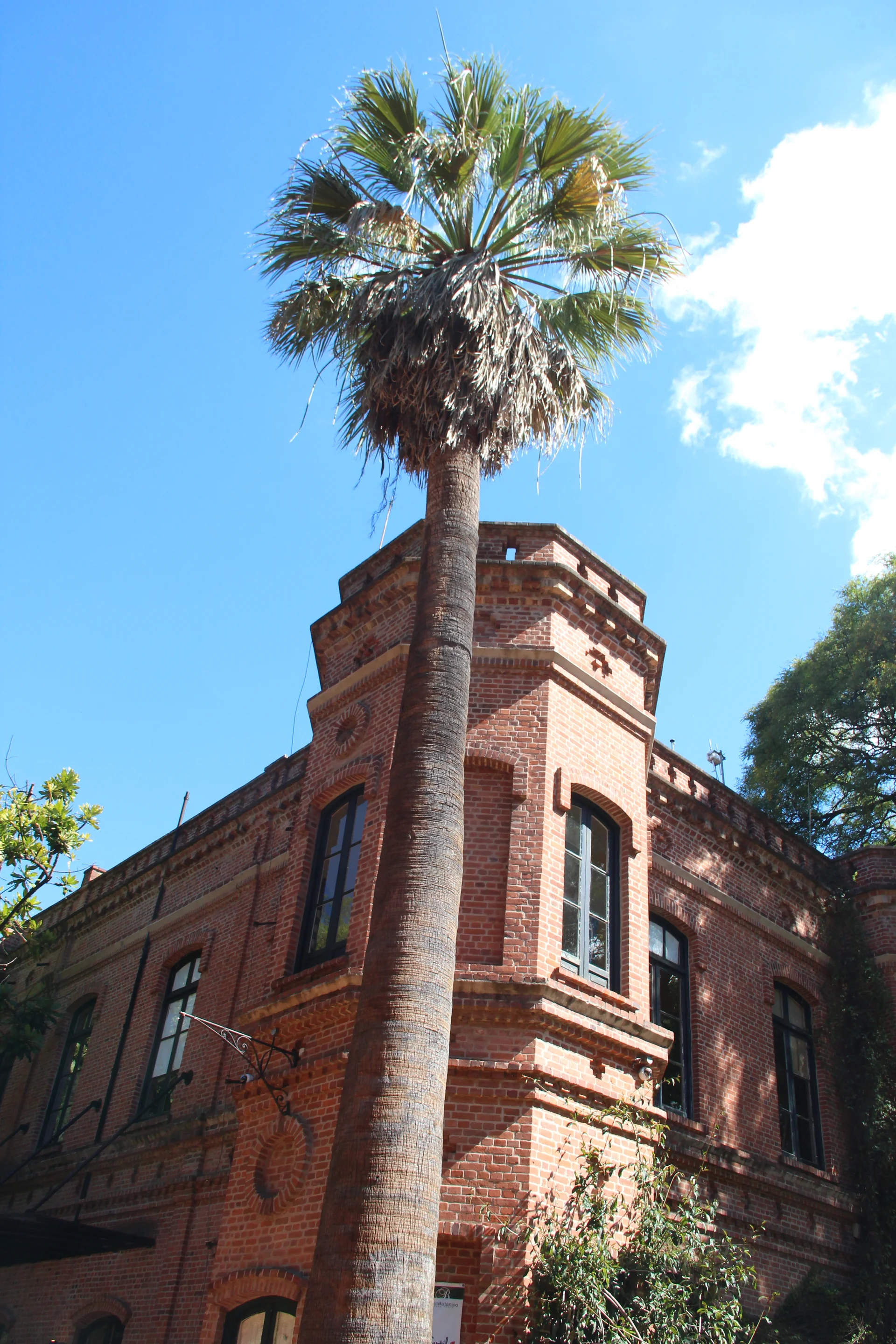 Jardin Botanico de Palermo Jardin Botanico de Palermo — Jardin botanique de Buenos Aires (Argentine)
