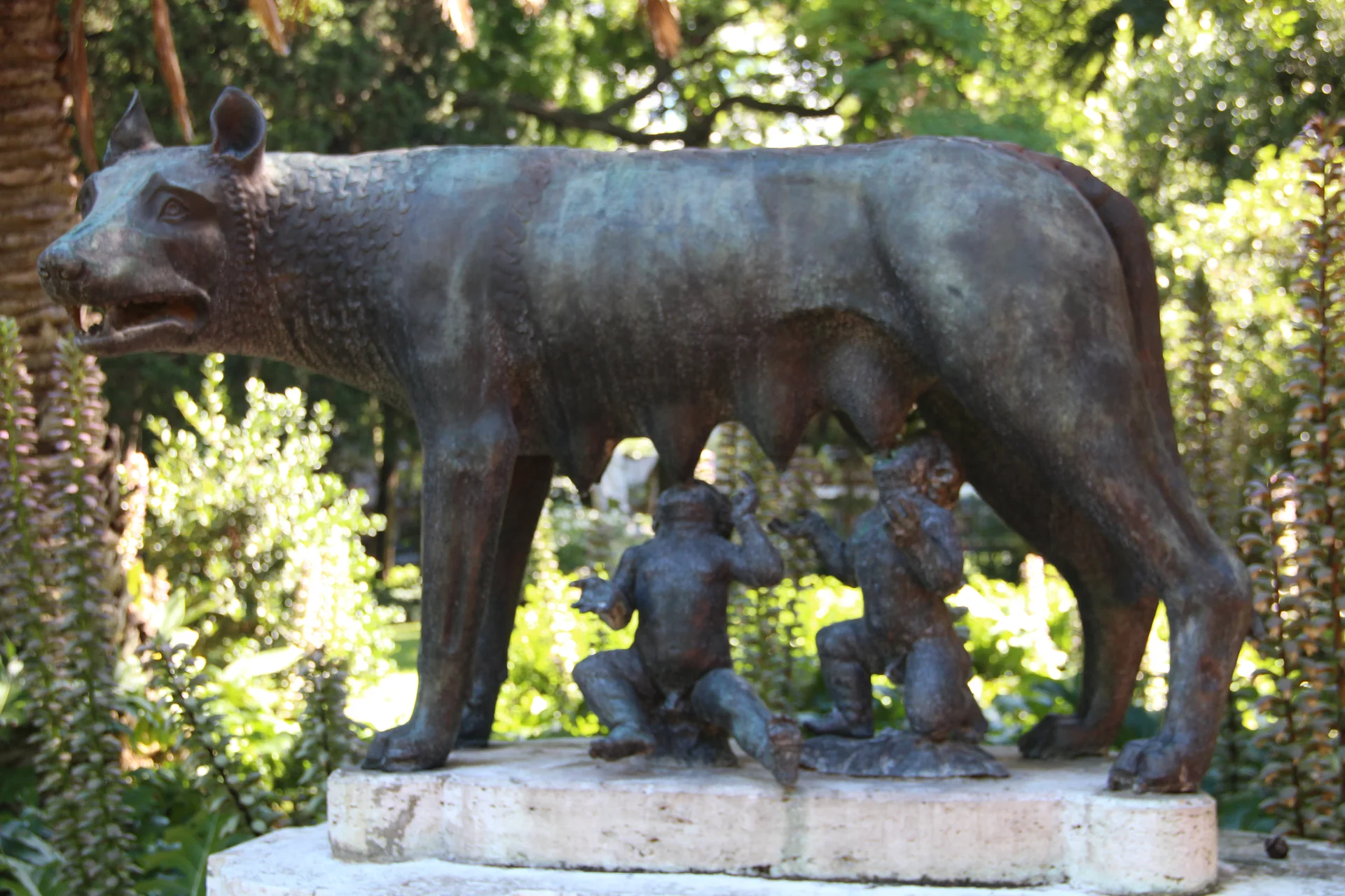 Tiene hambre ! Tiene hambre ! — Jardin botanique de Buenos Aires (Argentine)
