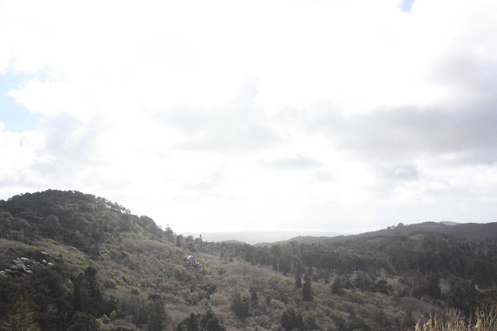 Parque Nacional da Pena Parque Nacional da Pena — Palais national de Sintra (Portugal)