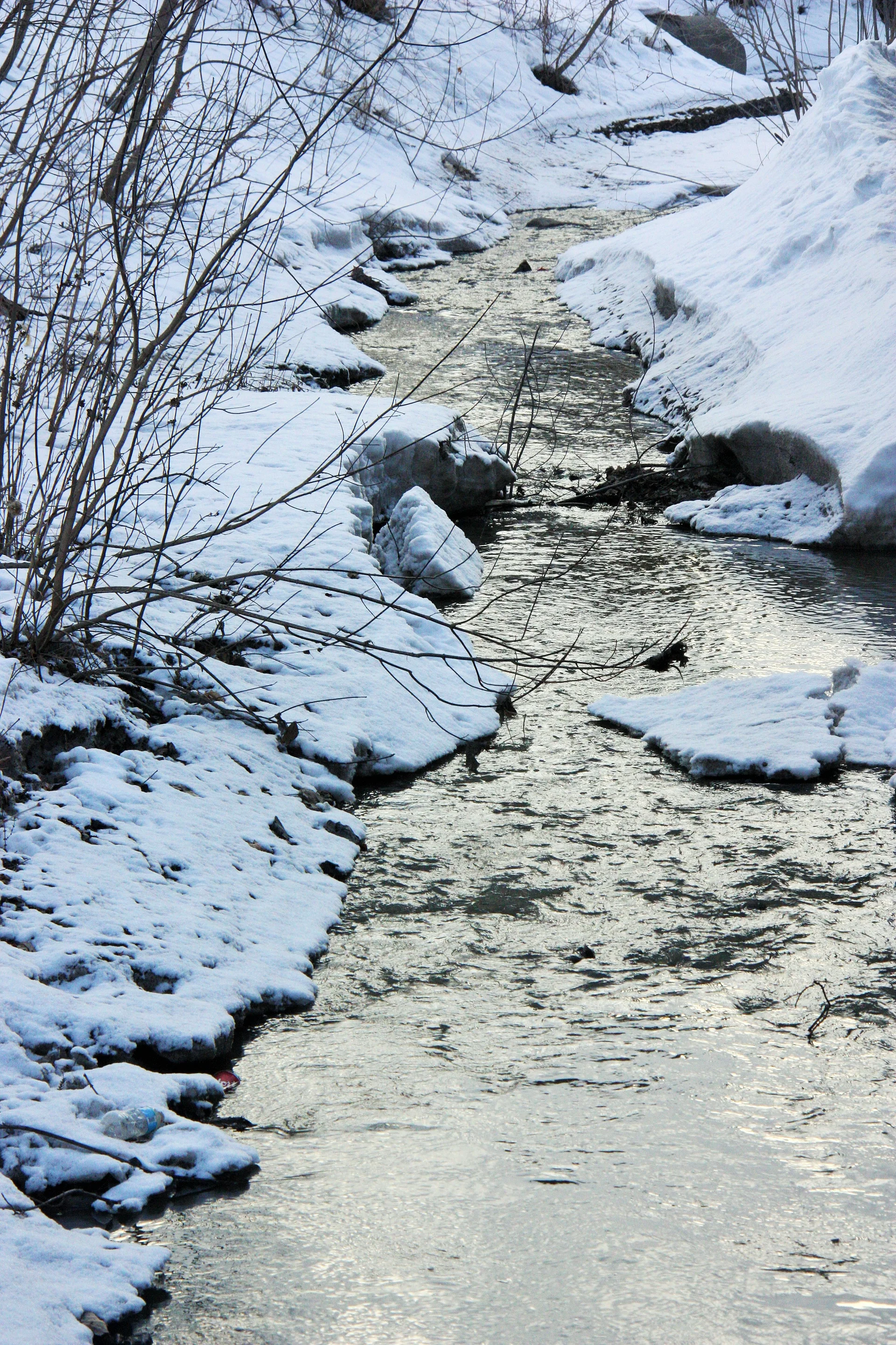 Petit ruisseau