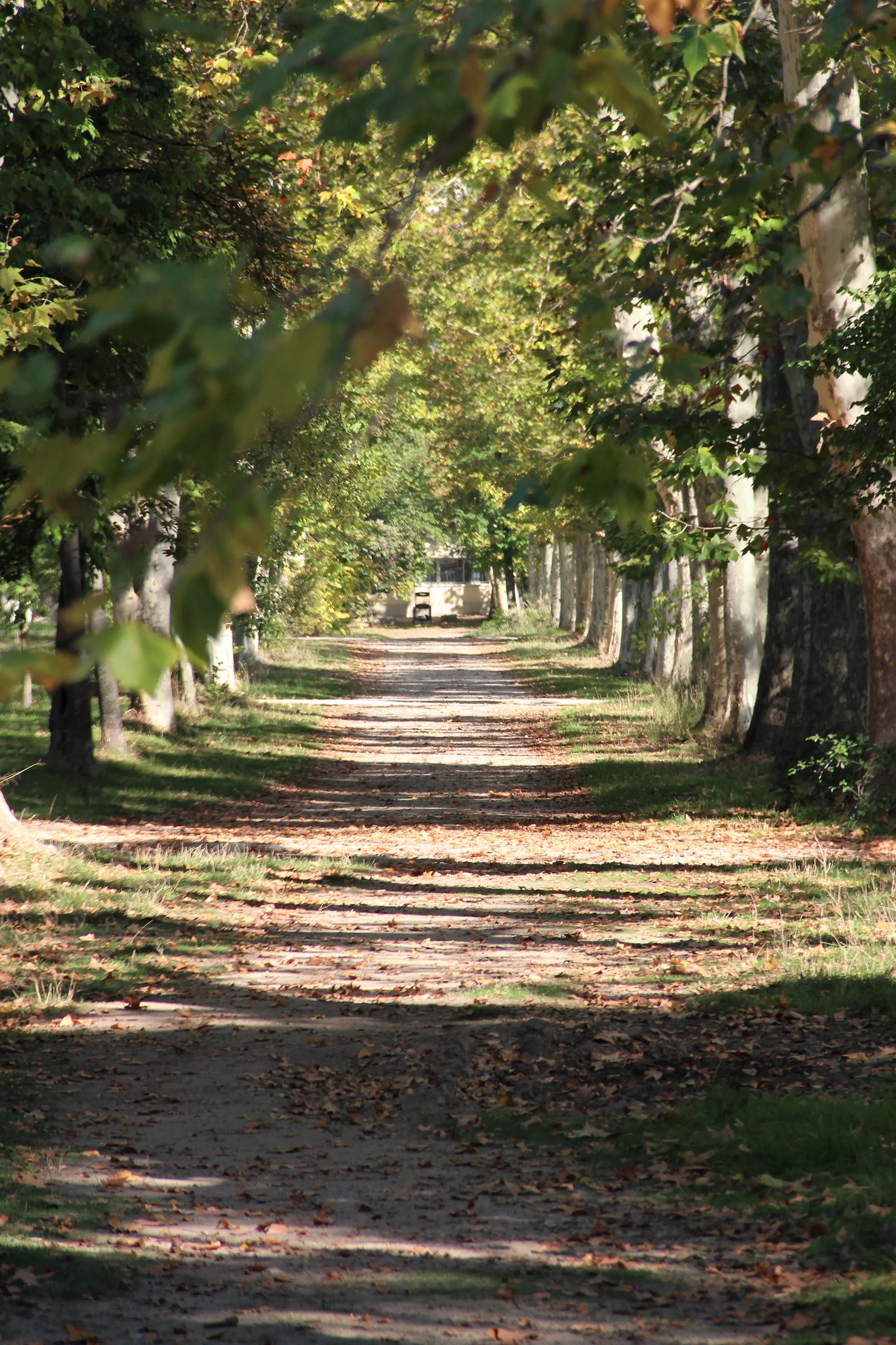 Casa de Campo — Casa de Campo (Espagne)