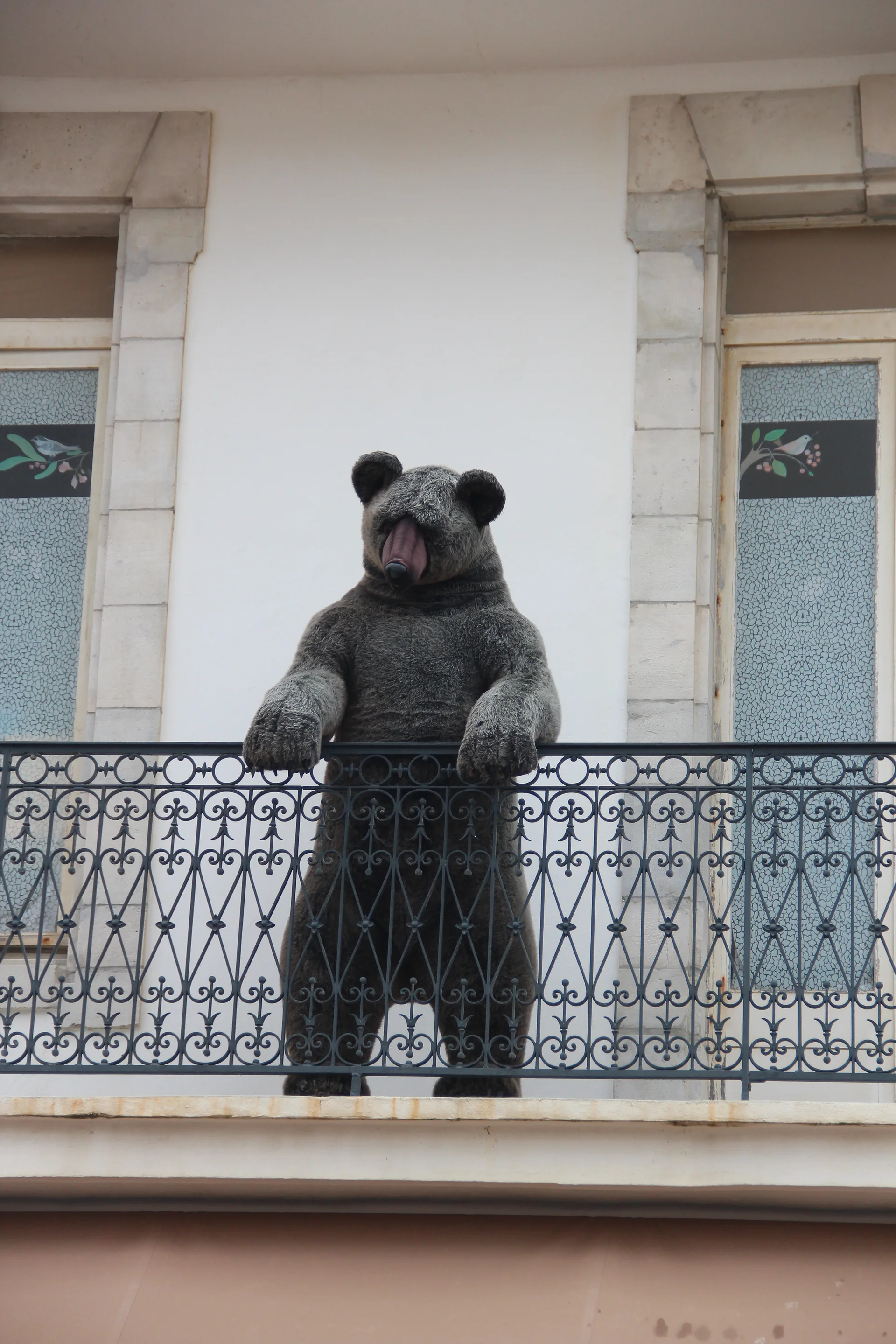 Nounours sur le balcon — Biarritz (France)