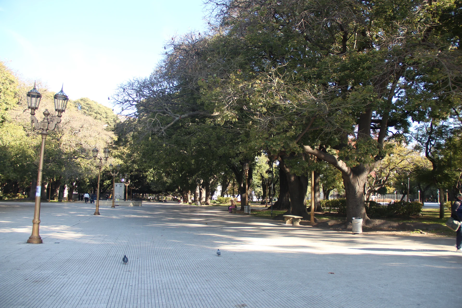 Plaza San Martin Plaza San Martin — Place Saint-Martin (Argentine)