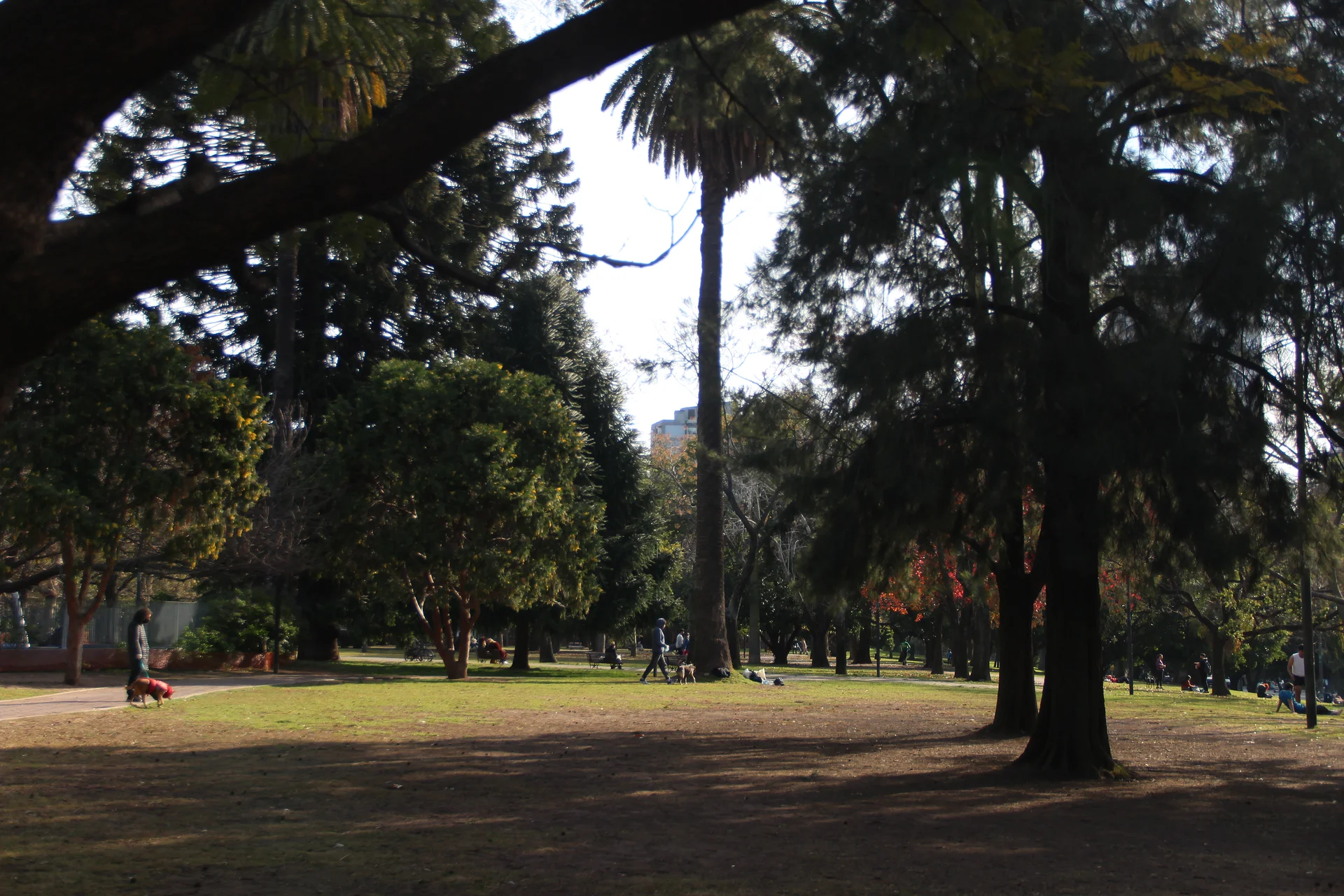 Parque Las Heras — Parc Las Heras (Argentine)