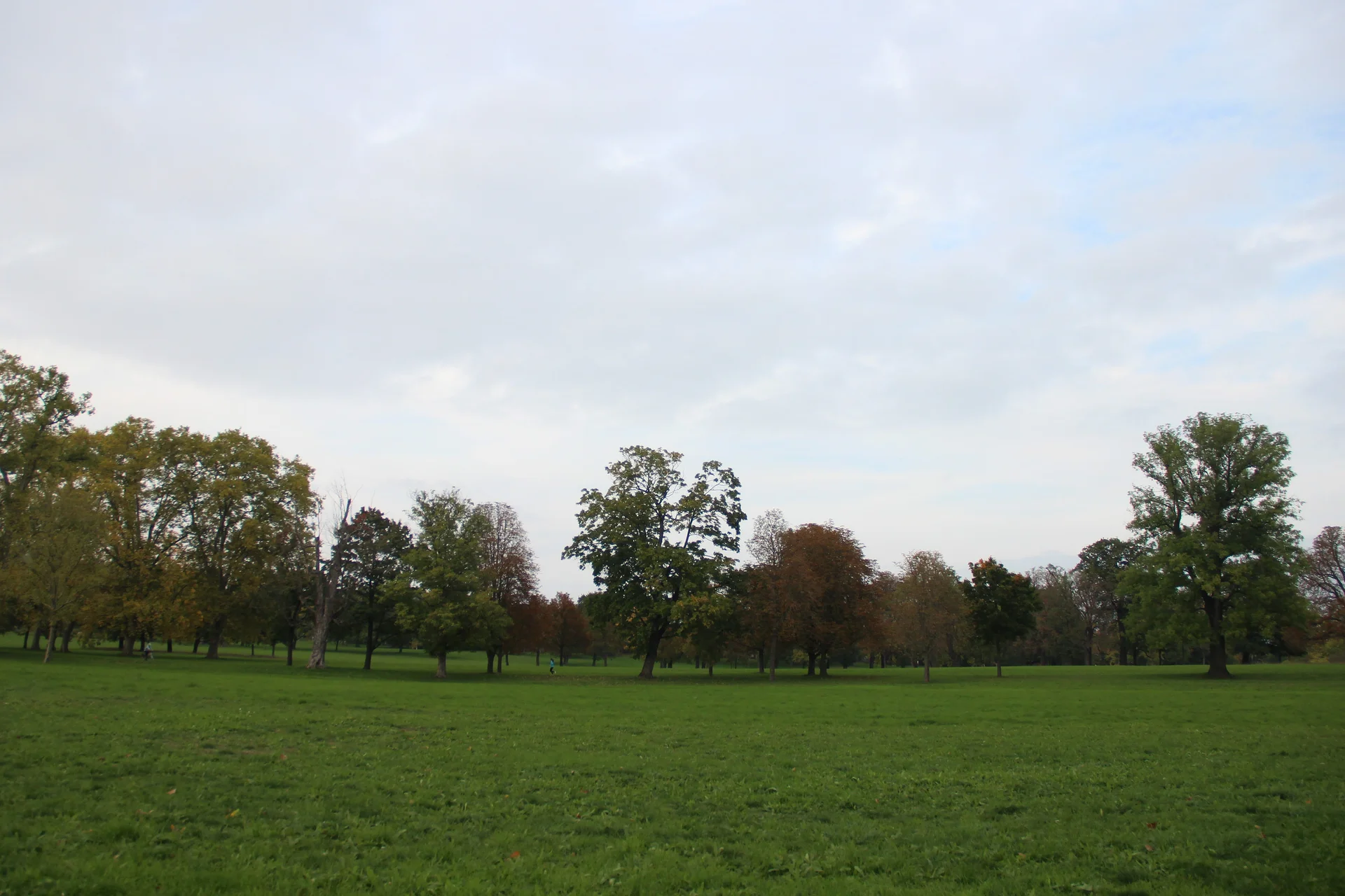 Rosensteinpark Stuttgart Rosensteinpark Stuttgart — Parc du Rosenstein (Allemagne)