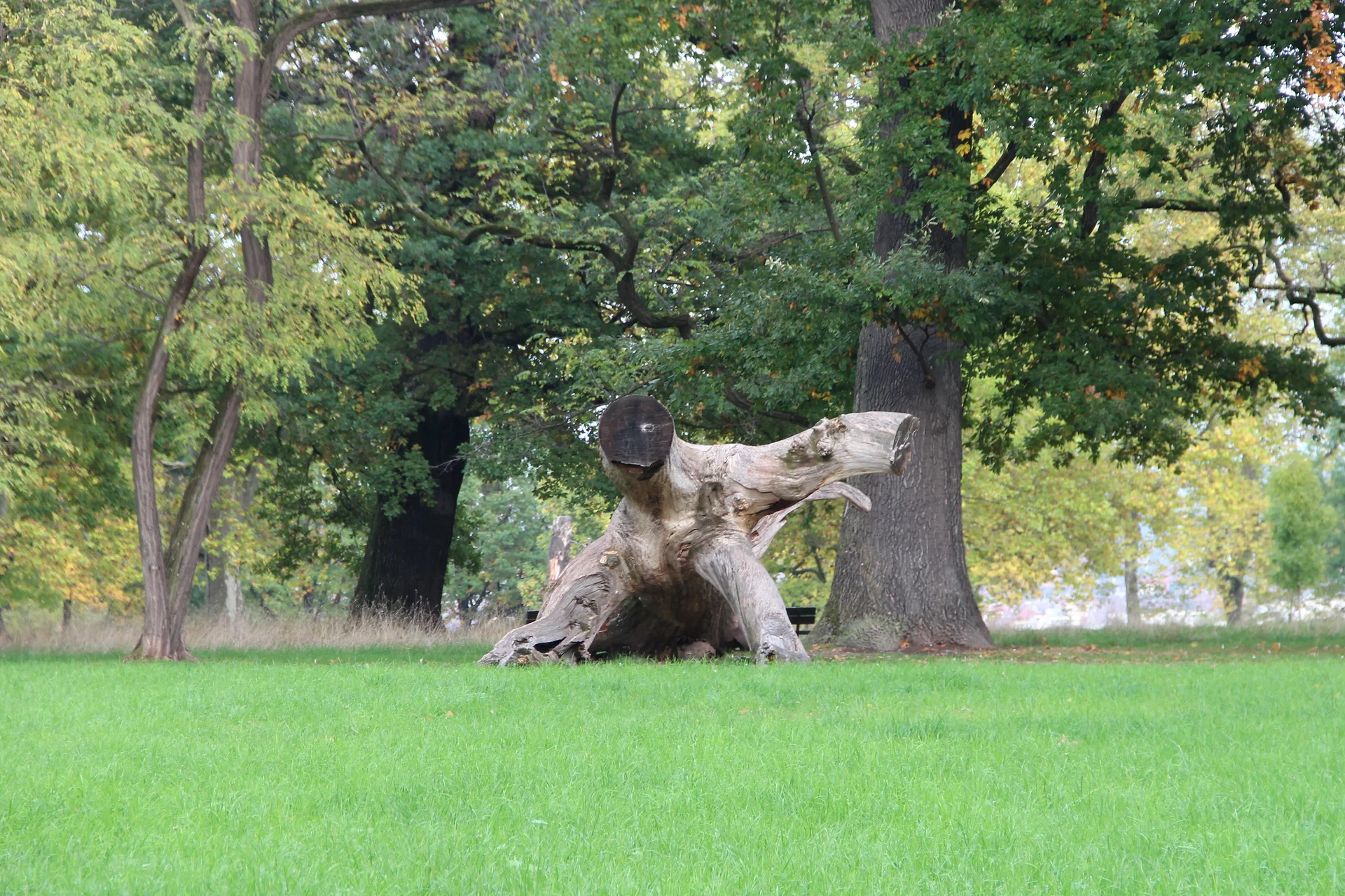 Rosensteinpark Stuttgart Rosensteinpark Stuttgart — Parc du Rosenstein (Allemagne)