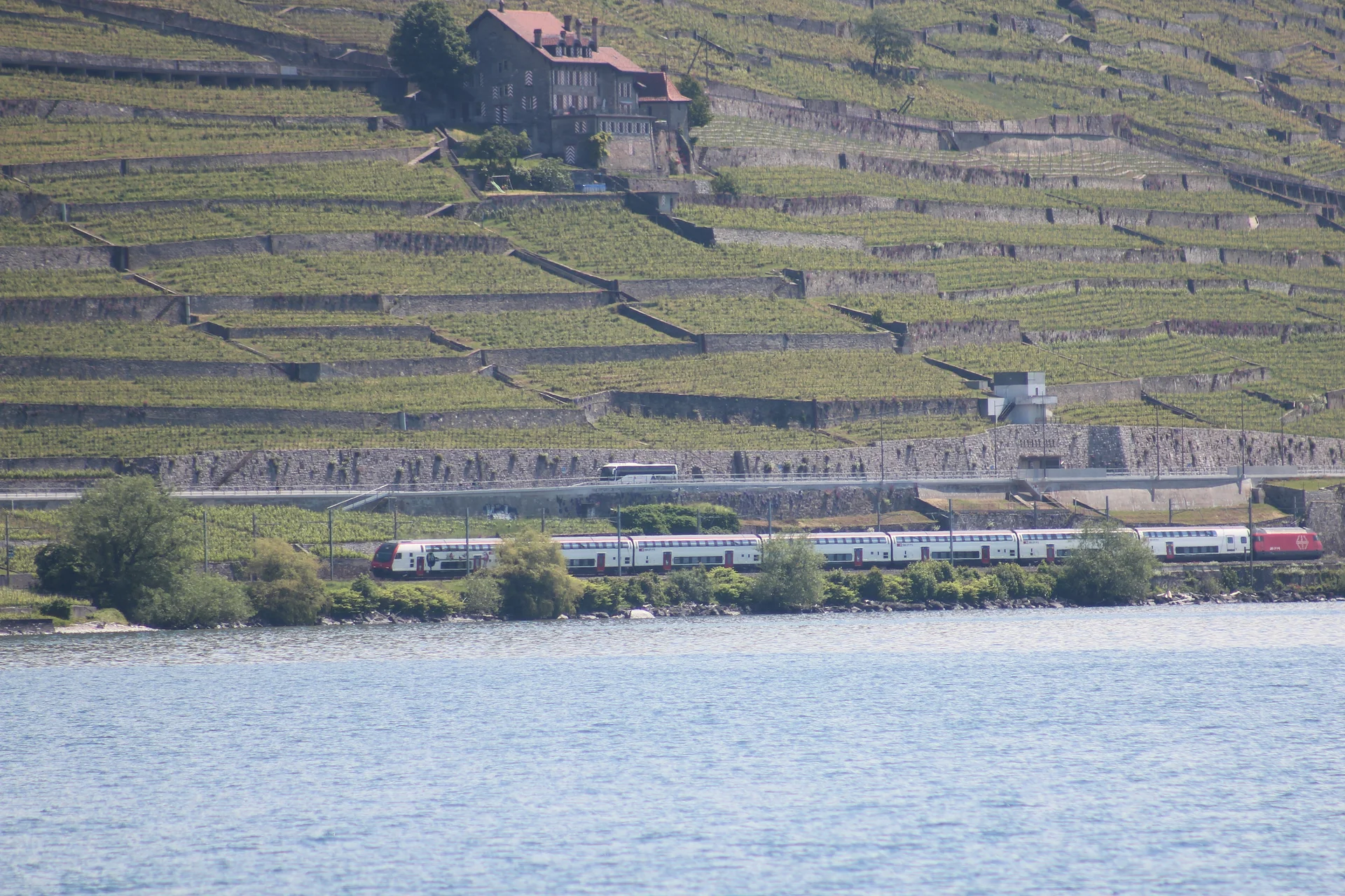 Terrasses viticoles de Lavaux Terrasses viticoles de Lavaux — Vignes de Lavaux (Suisse)