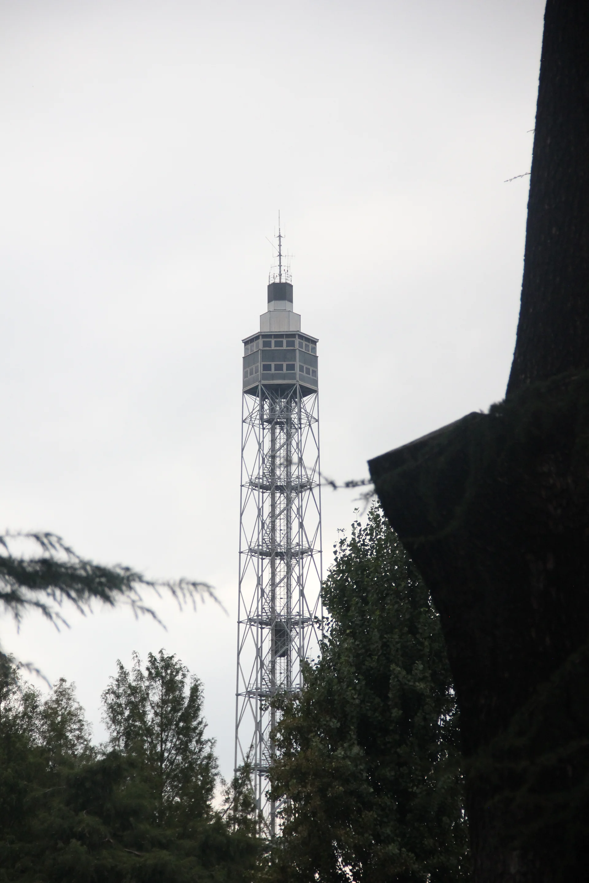 Torre Branca — Torre Branca (Italie)
