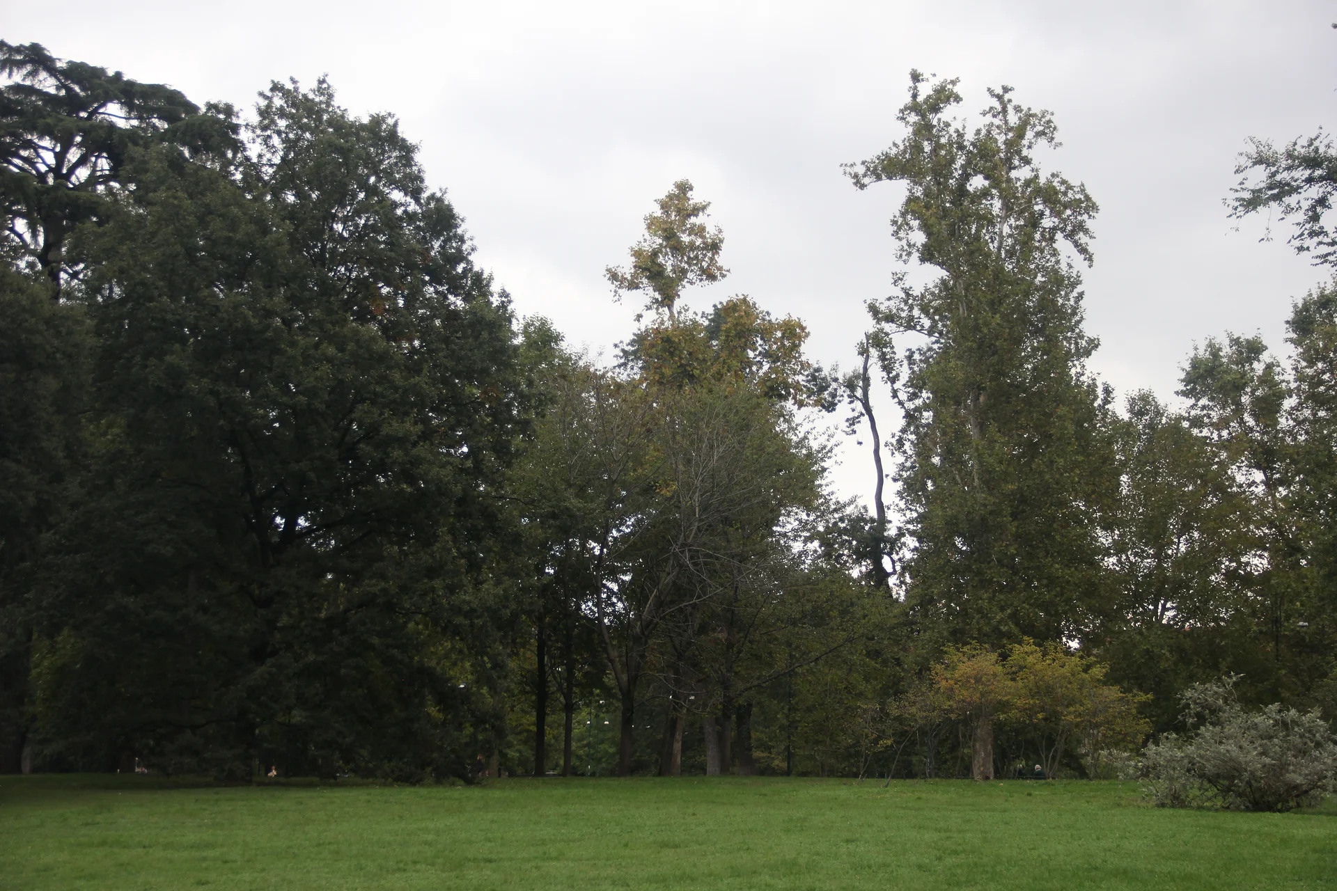 Parco Sampione