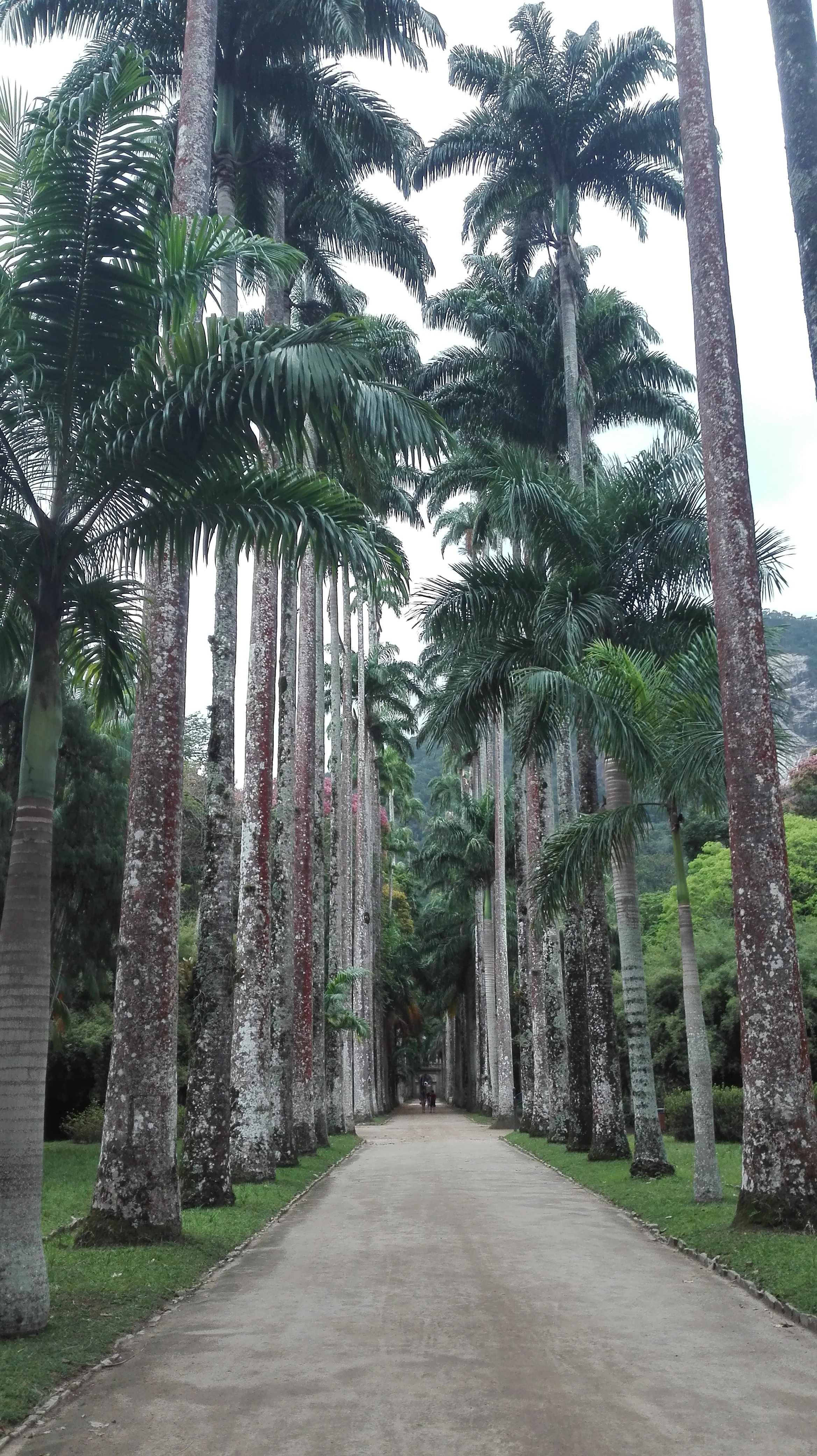 Cidade Maravilhosa Part 2