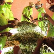 Des femmes exemplaires au Sénégal