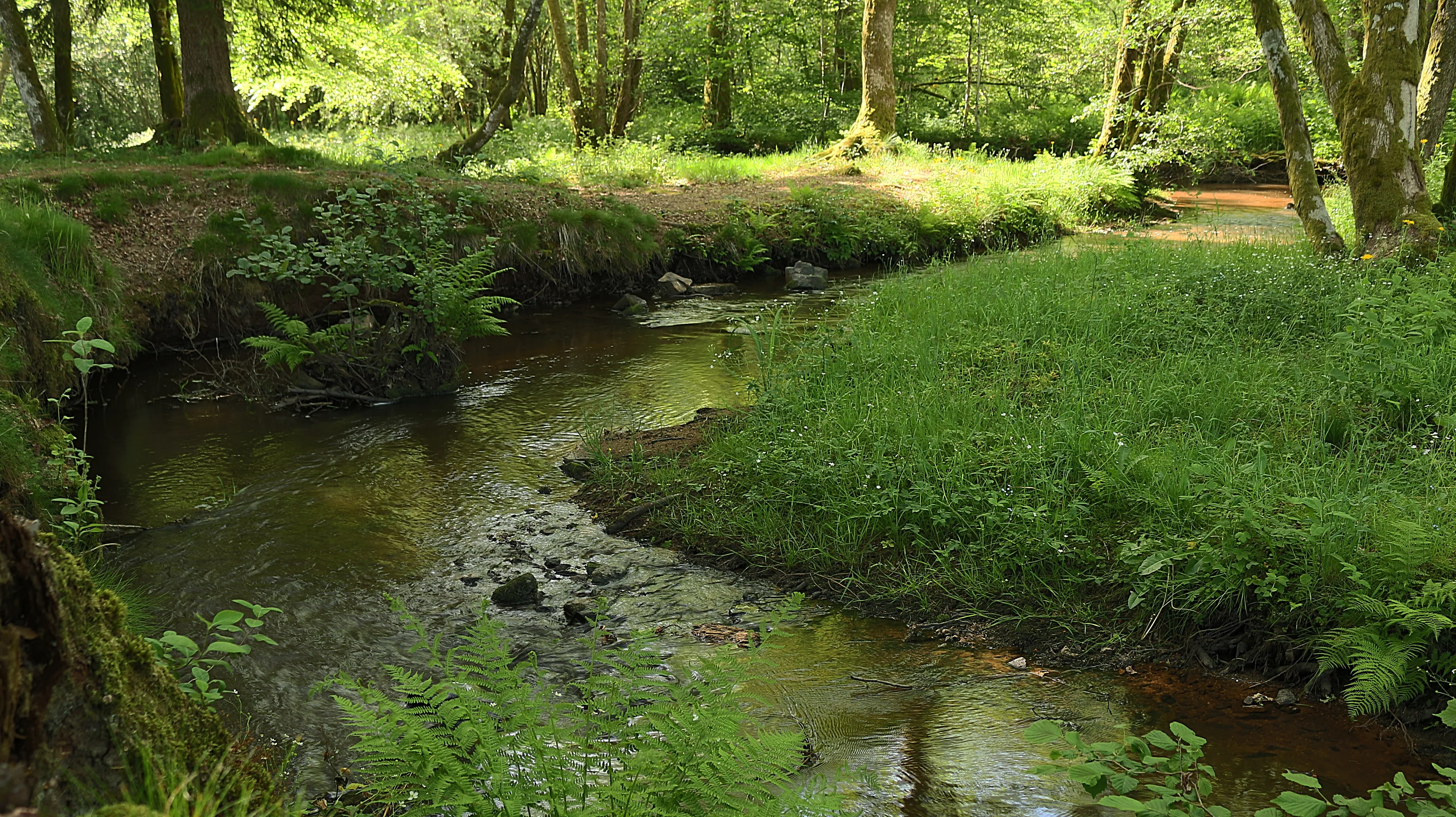 Visiter le Morvan: 6 activités incontournables à faire