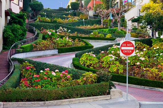 Lombard Street et ses massifs de fleurs.