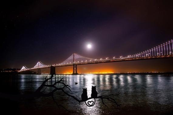 Bay Bridge et ses 25 000 leds.