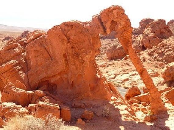 Elephant Rock