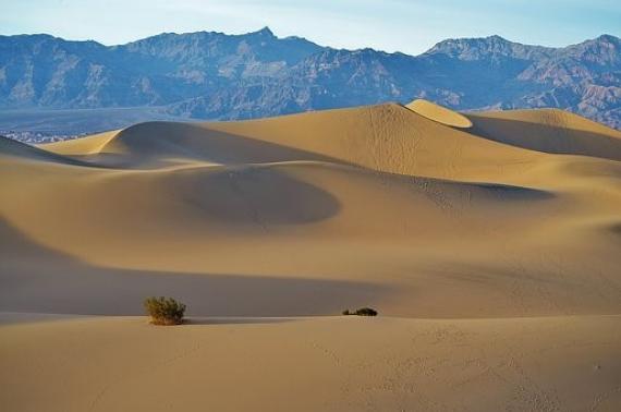 Mesquite Sand Dunes