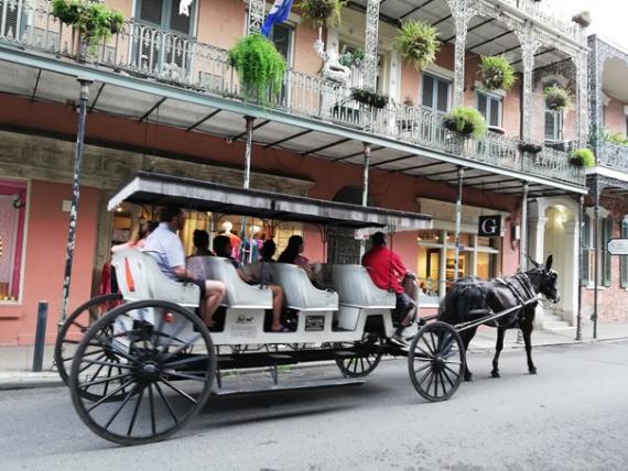 Balade en calèche dans le Vieux carré