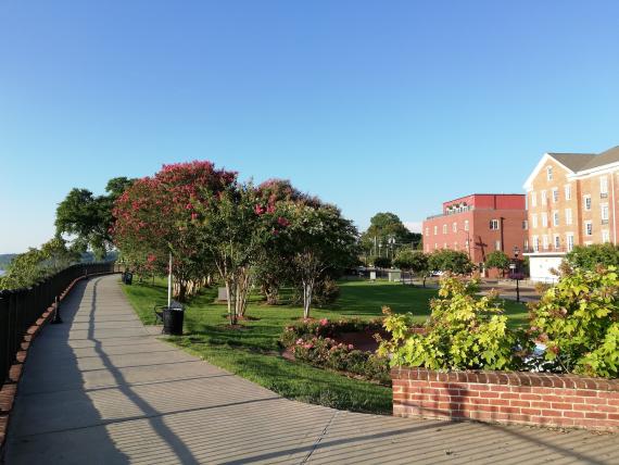 Le Bluff Park dans toute sa splendeur 