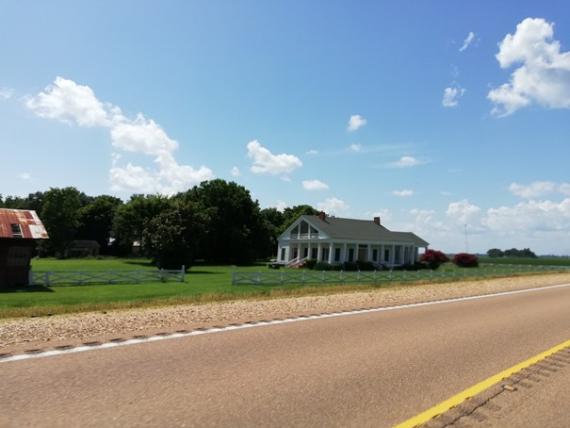 Le Mississippi et ses paysages verts