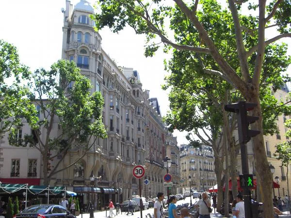 Place Saint André des Arts — Paris (France)