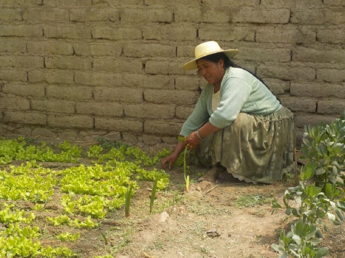 Projet de serres dans la région d'Oruro!