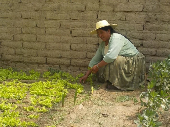Projet de serres dans la région d'Oruro!