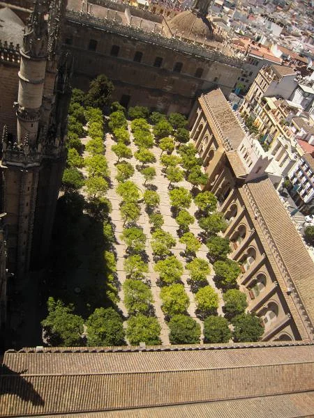 Cour des orangers vue de la Giralda Cour des orangers vue de la Giralda — Cathédrale de Séville (Espagne)