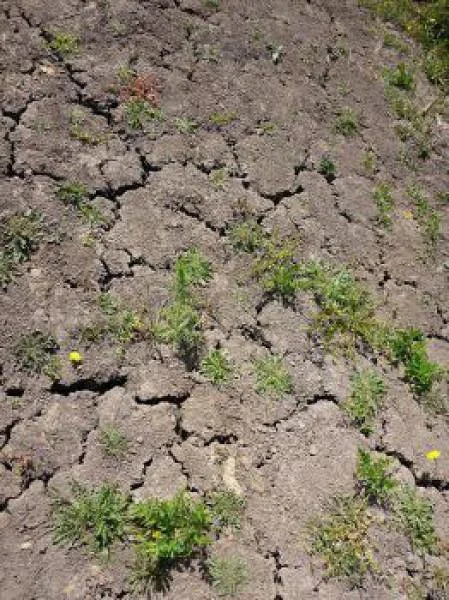 La sécheresse, terres arides et manques d'eau