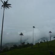 Pijao, village authentique de la zone du café en Colombie