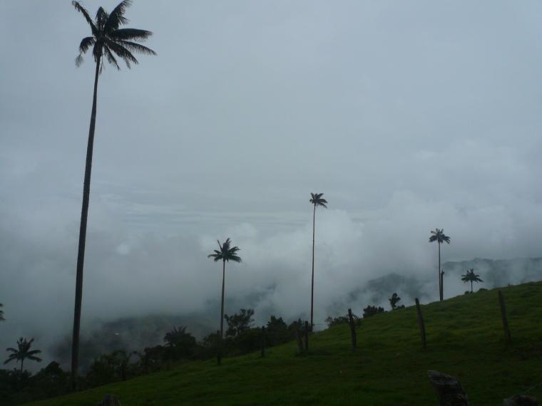 Pijao, village authentique de la zone du café en Colombie