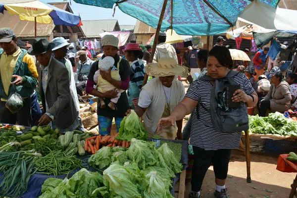 et encore des salades (Madagascar)