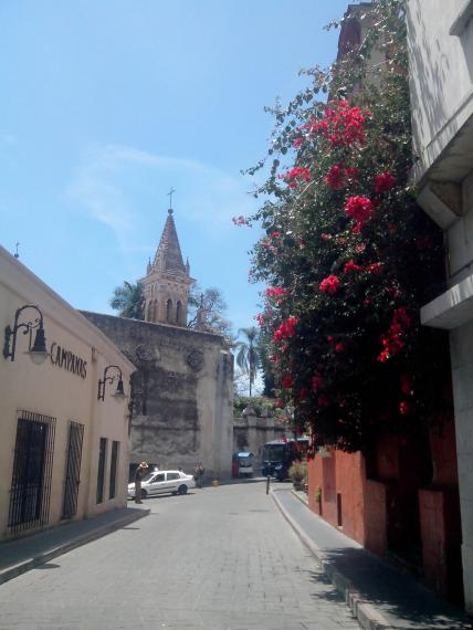 Printemps éternel à Cuernavaca
