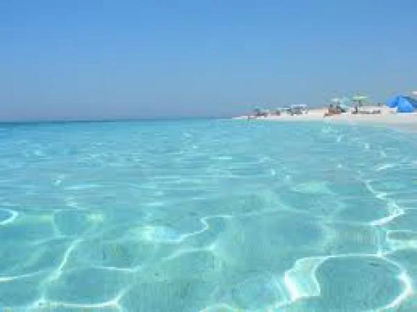 vive la tunisie 