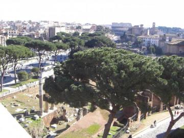 Vue de haut sur les forums impériaux