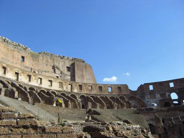 La fleur du Colisée — Colisée de Rome (Italie)