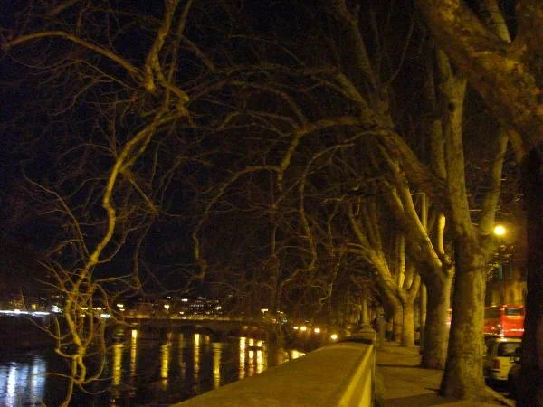 Les berges du Tibre Les berges du Tibre — Rome (Italie)
